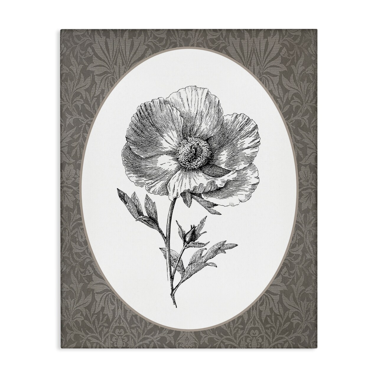 Stupell Industries Anemone Sprig Vignette Canvas By Lettered and Lined